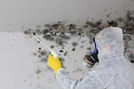 Best Mold Damage Restoration  in Coeur Dalene, ID